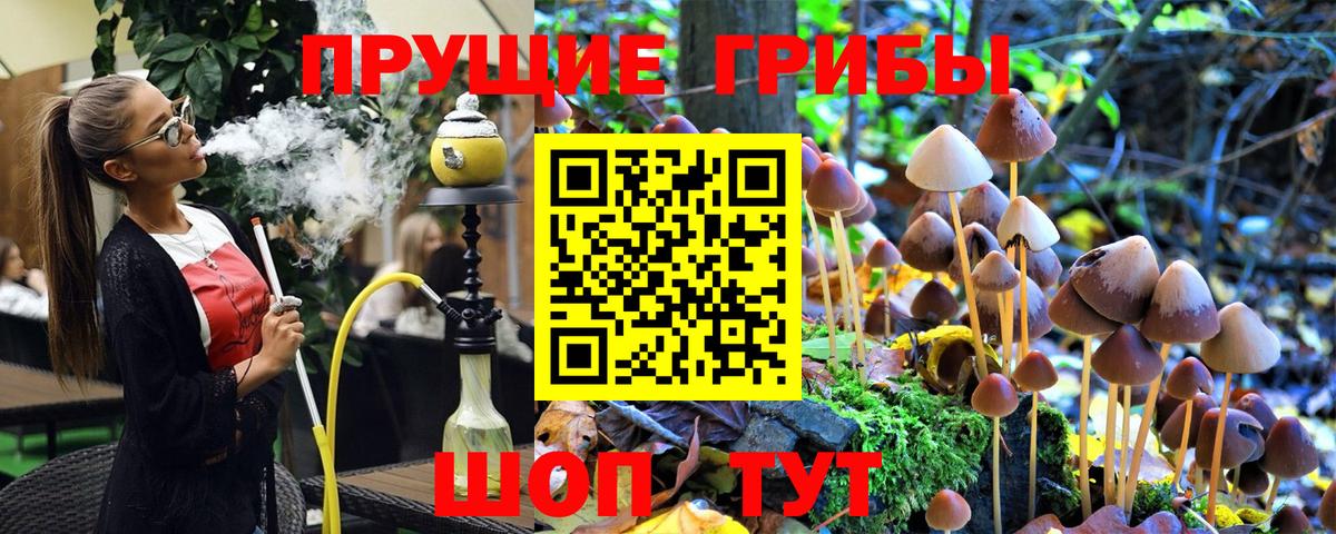 Галлюциногенные грибы мицелий  Вход с VPN  Ливны 