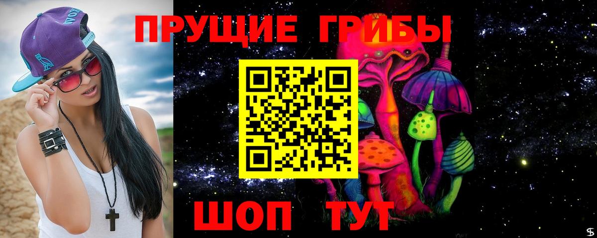 Псилоцибиновые грибы мицелий Ливны